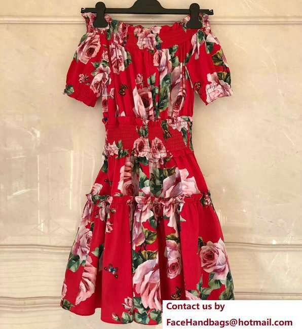 Dolce & Gabbana Flower Print Dress Red 2018